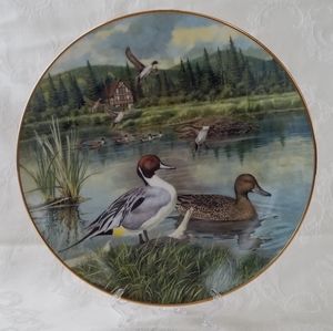Vintage 1986 Limited Edition Wildlife Ceramics Plate